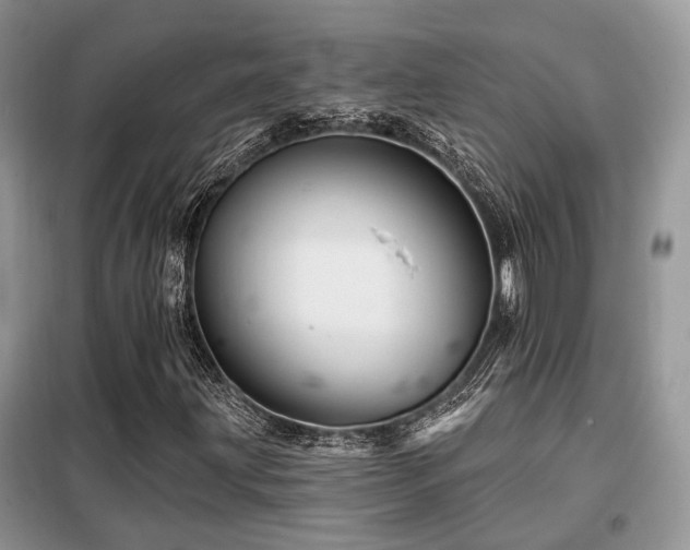 X0000099451203200805091458