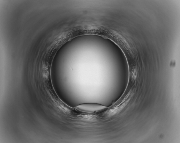 X0000099451204200805091458