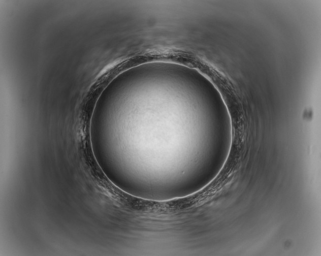 X0000099451206200805091458