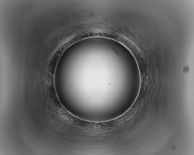 X0000099451207200805091458