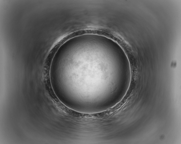 X0000099451208200805091458