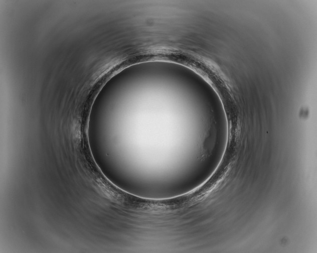 X0000099451209200805091458