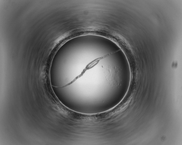 X0000099451210200805091458