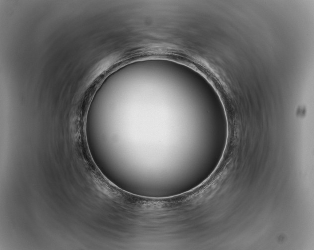 X0000099451211200805091458