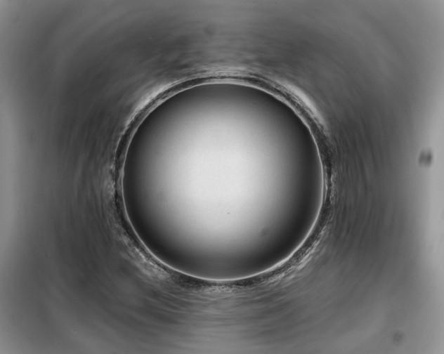 X0000099451212200805091458