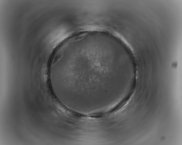 X0000099451213200805091458