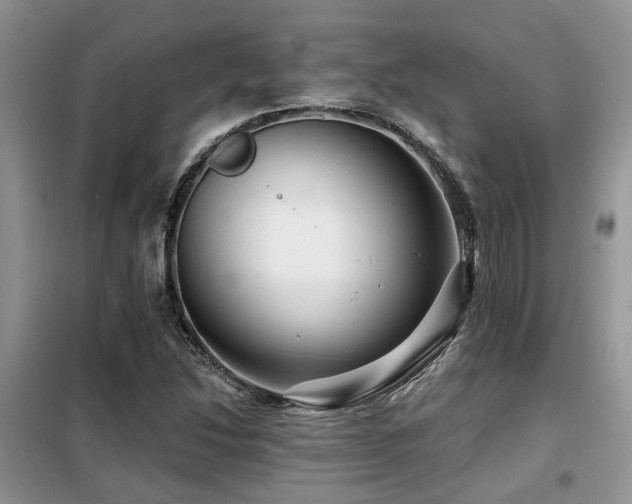 X0000099451214200805091458