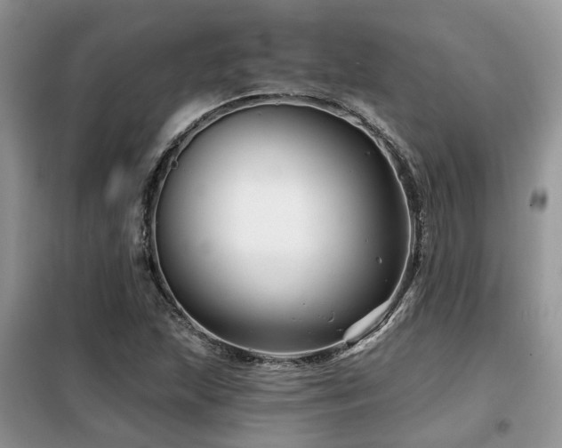 X0000099451215200805091458