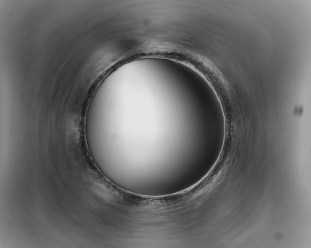 X0000099451217200805091458
