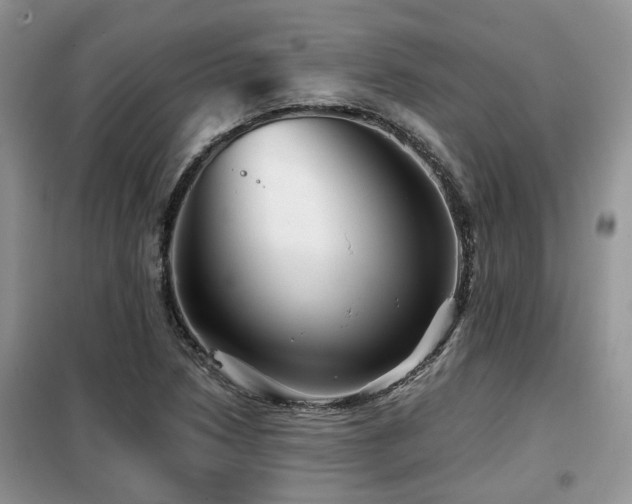 X0000099451218200805091458