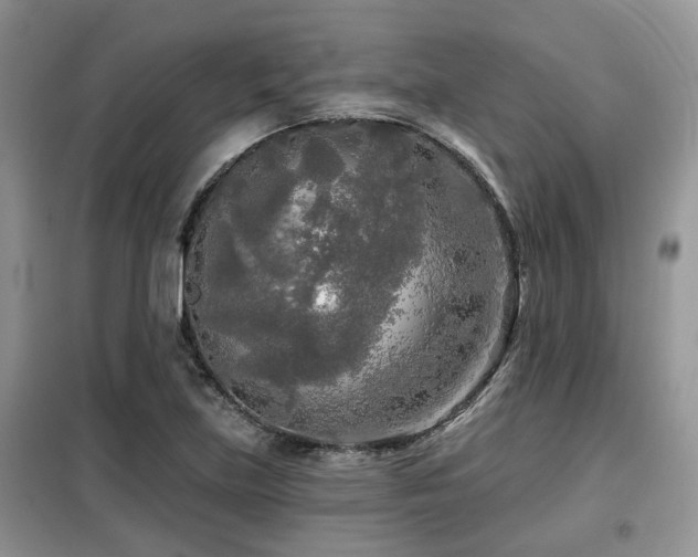 X0000099451219200805091458