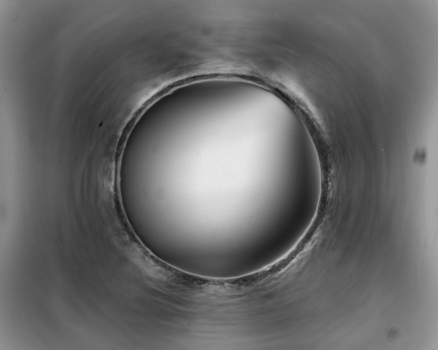 X0000099451220200805091459