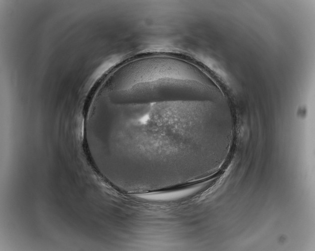 X0000099451221200805091459