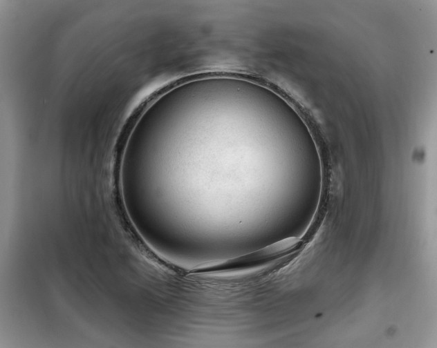 X0000099451222200805091459