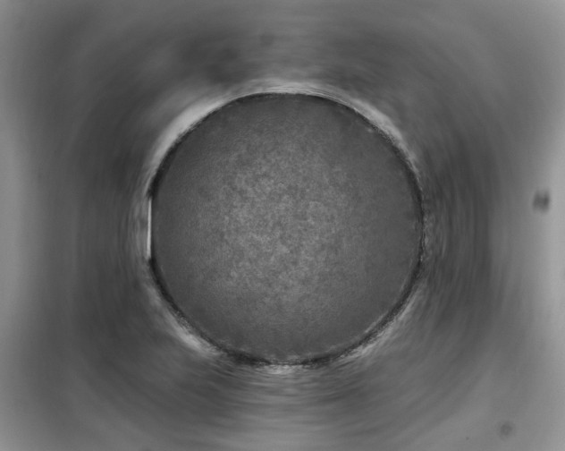X0000099451223200805091459