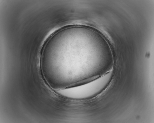 X0000099451224200805091459