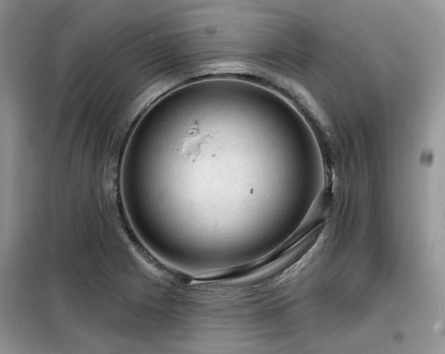 X0000099451225200805091459