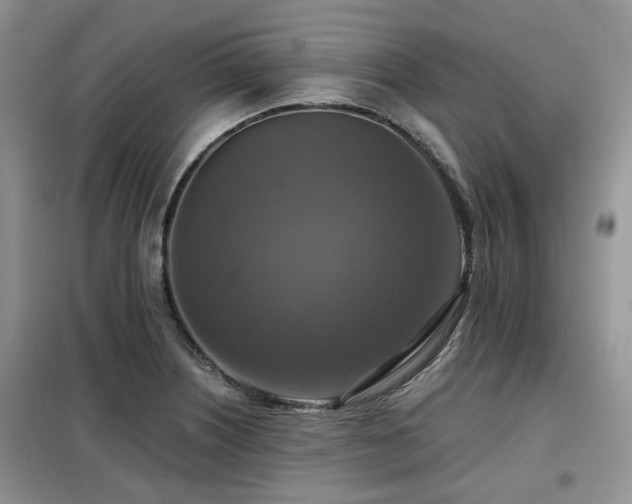 X0000099451226200805091459