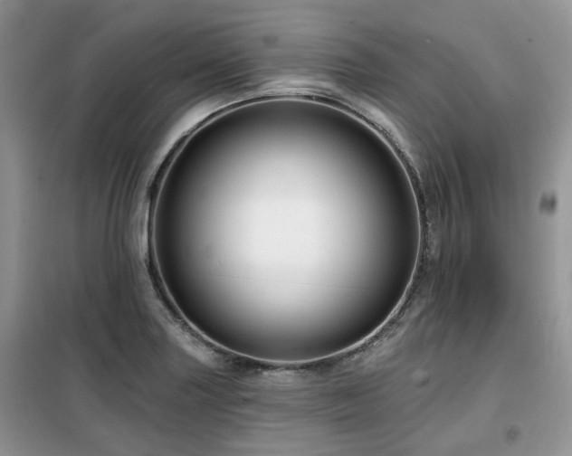 X0000099451227200805091459
