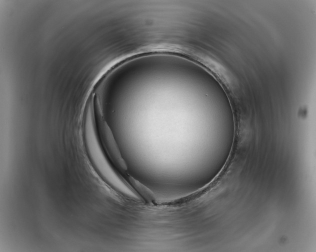 X0000099451228200805091459
