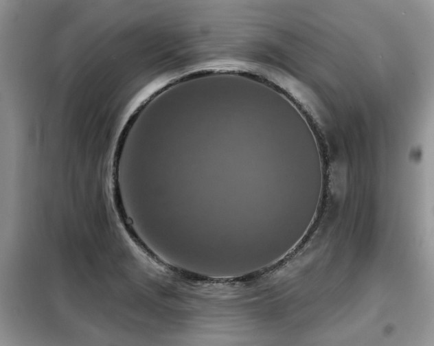 X0000099451229200805091459