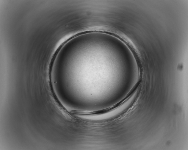 X0000099451230200805091459
