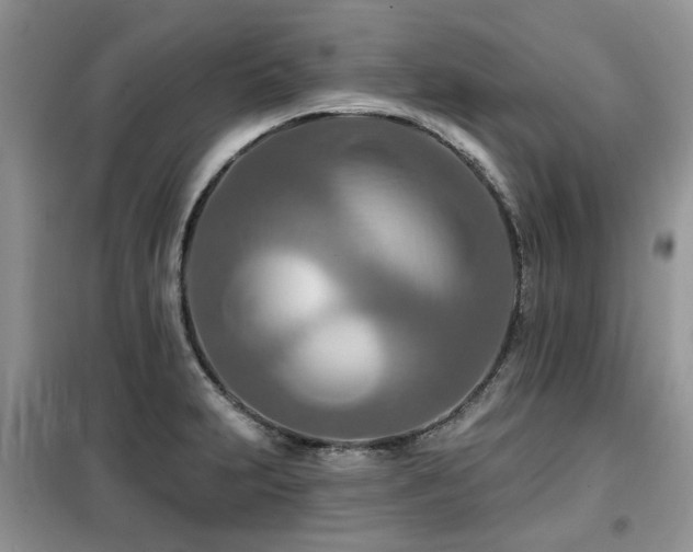 X0000099451231200805091459