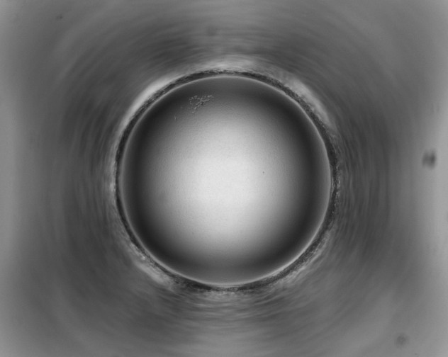 X0000099451232200805091459