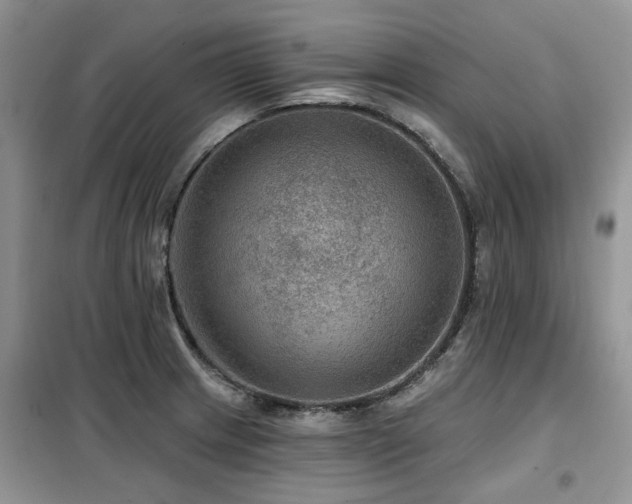 X0000099451233200805091459