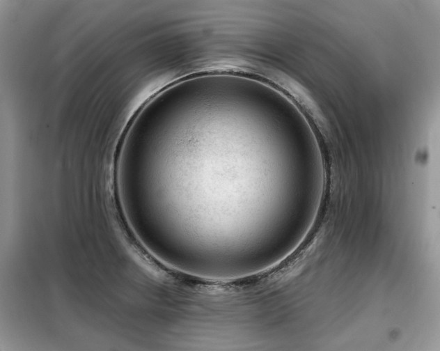 X0000099451234200805091459
