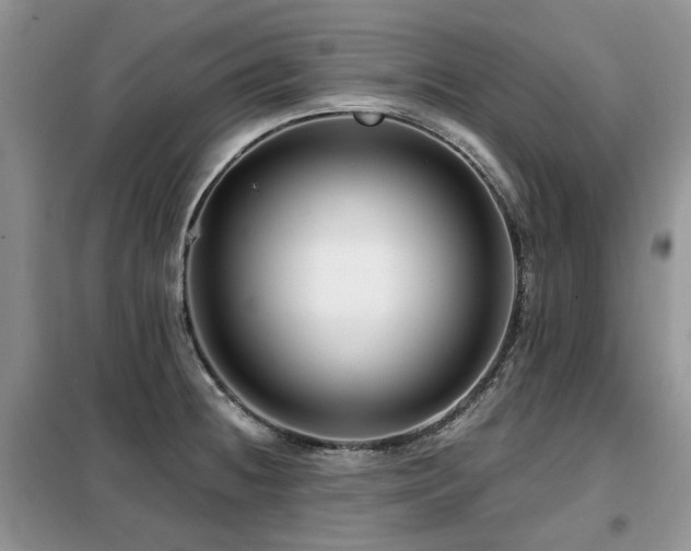 X0000099451236200805091459