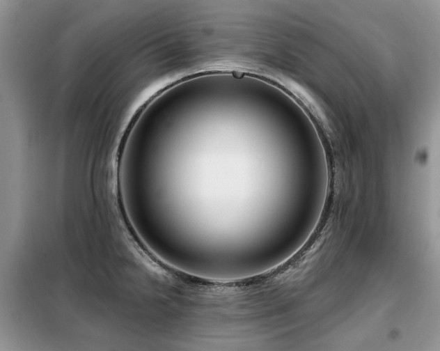 X0000099451238200805091459