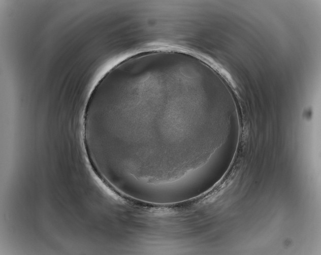 X0000099451239200805091459