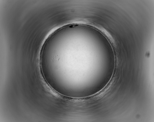 X0000099451240200805091459