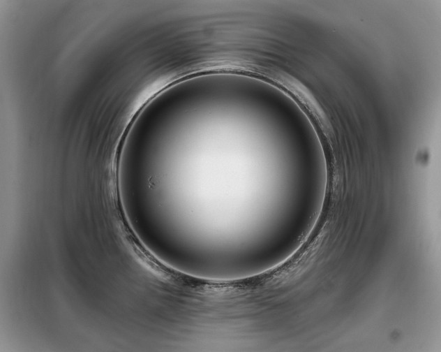 X0000099451242200805091459