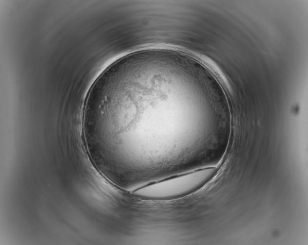 X0000099451244200805091459