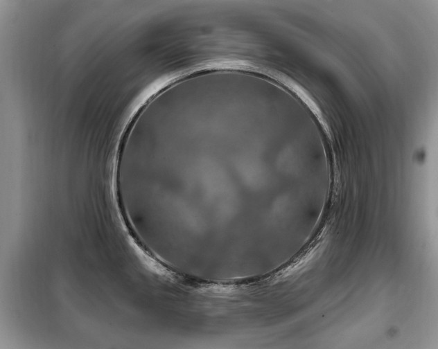 X0000099451245200805091459