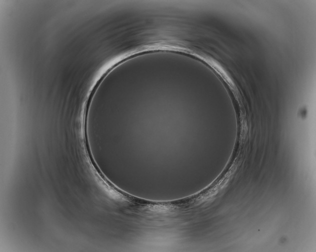X0000099451246200805091459