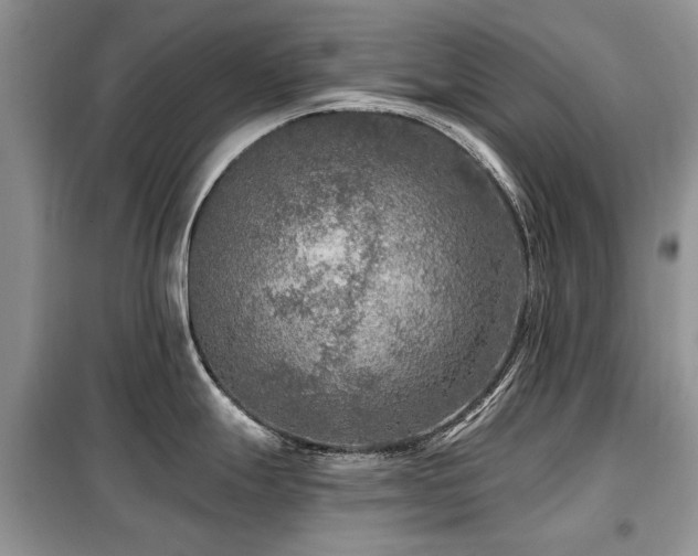 X0000099451247200805091459