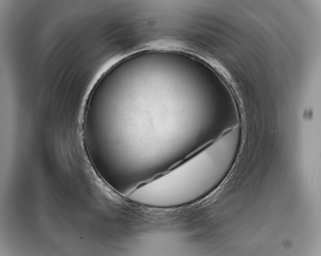 X0000099451248200805091459