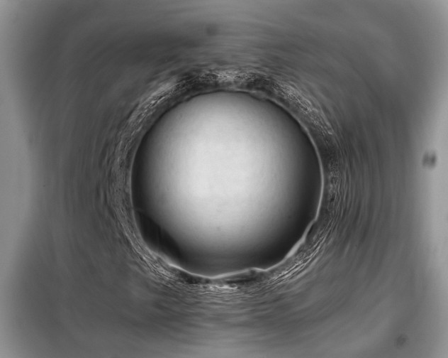 X0000099451249200805091458