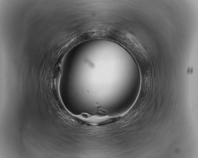 X0000099451250200805091458