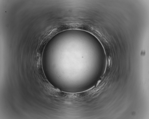 X0000099451251200805091458