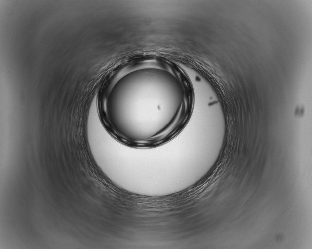 X0000099451252200805091458