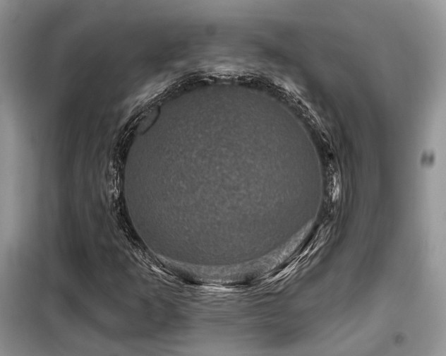 X0000099451253200805091458