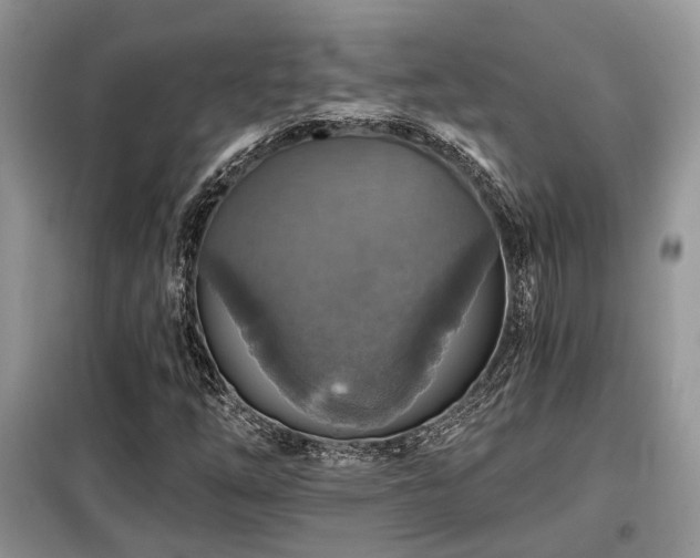 X0000099451254200805091458