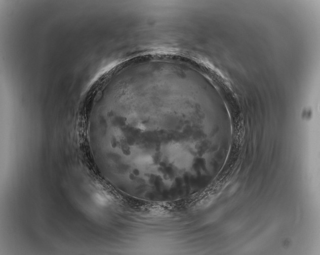 X0000099451255200805091458