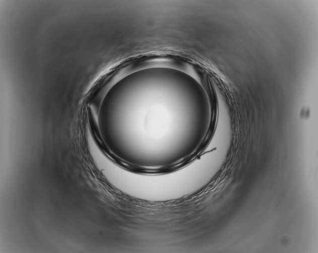 X0000099451256200805091458