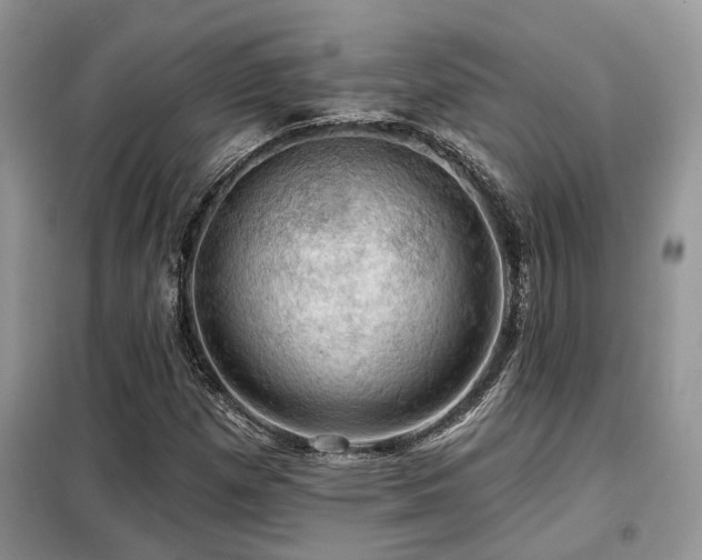 X0000099451257200805091458