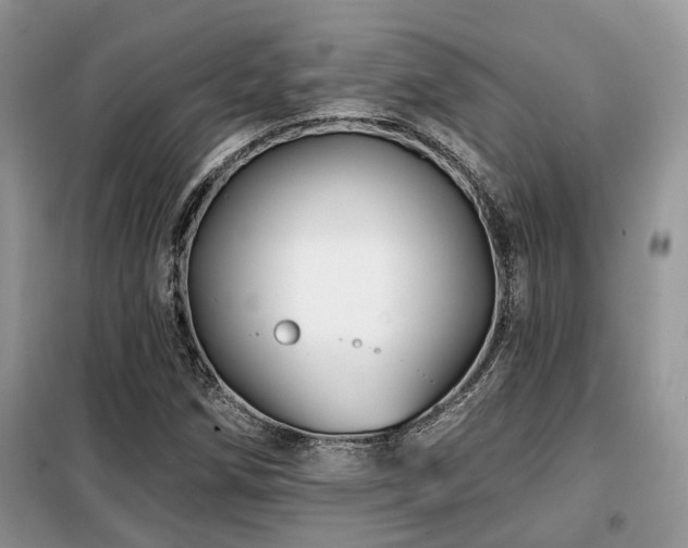 X0000099451258200805091458